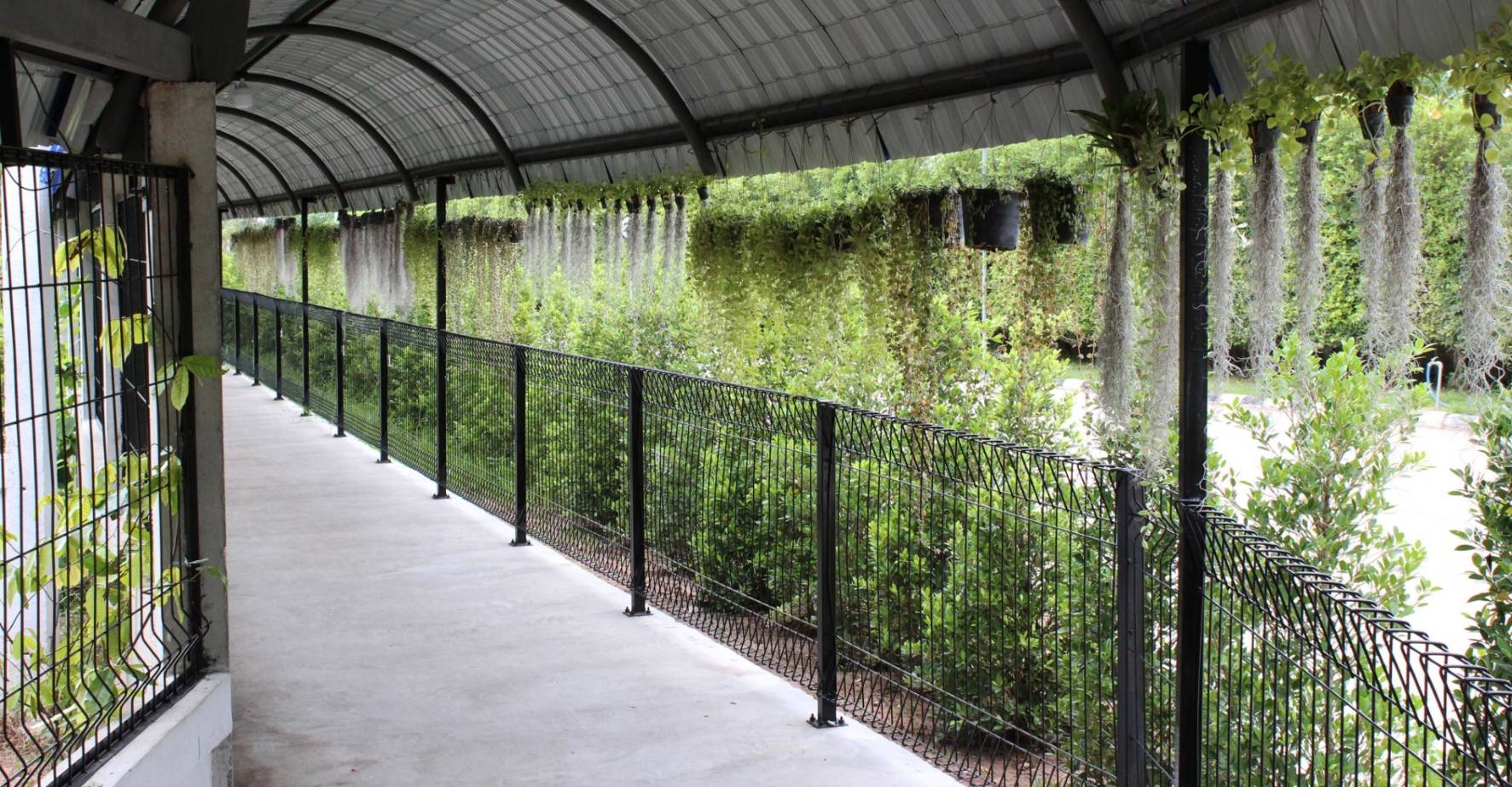 corridor